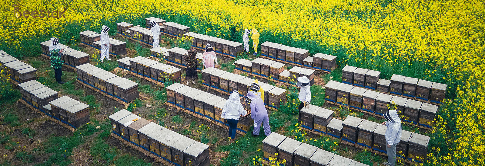 qualidade Mel natural da abelha fábrica