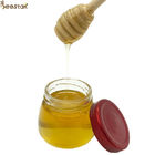 Mel da qualidade da abelha natural crua orgânica pura poli do mel 100% da flor o melhor