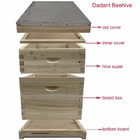 A abelha de madeira do abeto chinês de alta qualidade acumula fácil montar a colmeia natural de Dadant do material
