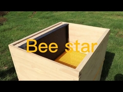 Kit de caixa de colmeia de abelhas Langstroth desmontada, equipamento de apicultura em madeira