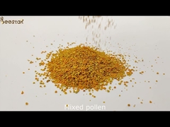 Natural Fresh Organic Mixed 20kgs Raw Honey Bee Pollen Low Fat