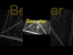 Beekeeping 201 Stainless Steel Honey Extractor 4 Frame Manual Honey Extractor