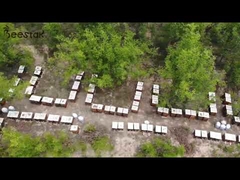 Our Natural Beekeeping  Honey Apiary Introduction Video 2