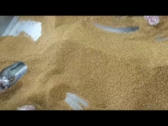 Produtos de pólen de abelha