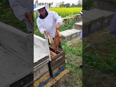 Venda a retalho 100% Mel de abelha natural de alta qualidade Mel de ervas tradicionais orgânicos crus puro