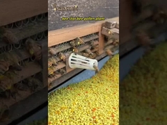 Venda a retalho 100% Mel de abelha natural de alta qualidade Mel de ervas tradicionais orgânicos crus puro