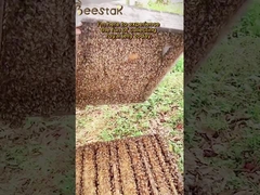 Natural 1,6% 10-HDA Orgânico Royal Jelly Fresh Royal Jelly Pura para cuidados de saúde