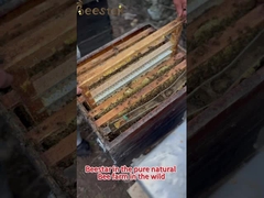 Mel natural doce puro cru de várias flores Mel natural de abelha Mel orgânico de poliflores