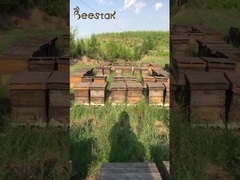 10,4% 1,6% 10-HDA Natrual Royal Jelly Fresco Produtos de abelhas Mel Royal Jelly