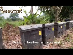 Fábrica por atacado 100% de mel de sidra orgânico HALAL Madura Fresca do Iêmen Mel sem aditivos