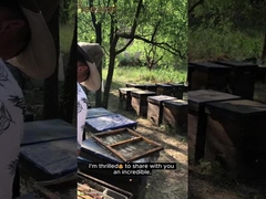 Venda a retalho Alta Qualidade 100% Natural Mel de floresta de arbustos puro Sem aditivos Mel de abelha natural