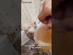 pólen de abelha cru