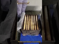 Polen de violação granular grande Mel Polen de abelha crua para seres humanos e abelhas