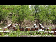 Beestar mel fresco de cedro natural sem qualquer aditivo mel de abelha natural mel cru para cuidados de saúde