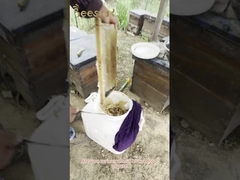 100% Mel Orgânico Puro Mel de Abelha Natural Alimento Saudável