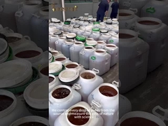 Venda a retalho 100% Mel de abelha natural de alta qualidade Mel de ervas tradicionais orgânicos crus puro