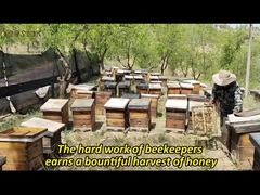 Mel de Manuka 100% natural MGO100+ UMF5+ Mel de abelha natural da Nova Zelândia