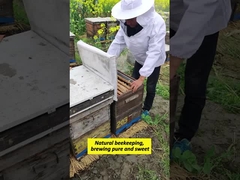 A promessa de 100% natural reside no rigor de cada carregamento de contêineres.