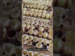 Ouro Líquido Puro Natural Geleia Real 10-HDA Fresca Cuidado Saudável Geleia Real 1000mg Rainha