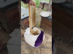 Mel puro natural orgânico 100% Sem aditivos