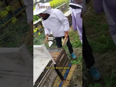 Mel de Abelha Orgânico Natural Mel Sidr com Aroma e Cor Distintos