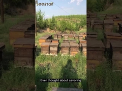 Nós fornecemos apenas mel 100% natural