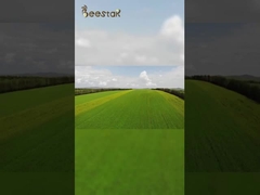 A nossa base de apicultura ecológica está longe da poluição