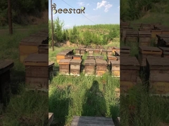 Mel puro natural, sem aditivos, concentrado a baixa temperatura