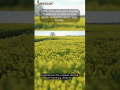 100% Mel Puro de Abelha Cru Mel de Colza Natural Mel de Abelha Natural sem Aditivos Alimento Saudável