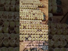 10-HDA Geleia Real Orgânica Fresca Geleia Real Pura para cuidados com a saúde