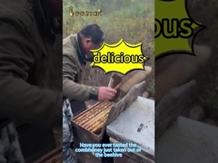 500 g de mel de pente natural de várias flores amarelo claro de qualidade alimentar