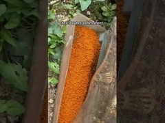 Pólen de Chá Fresco Cru Personalizado Vitaminas de Abelha Produtos de Abelha Naturais Frescos Novos