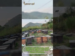 Mel puro de mel, pólen de abelha cru granular, pólen de abelha puro, alimento para abelhas