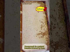 O mel em favo natural não é apenas delicioso, mas também rico em diversos nutrientes.