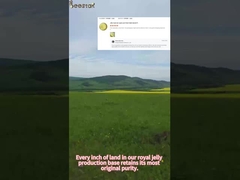 Beestar Organic Fresh Royal Jelly For Human Health, amplamente elogiado.