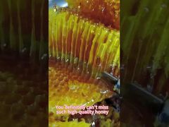 Mel cru Mel natural de abelha Mel de apiário natural Cuidados diários Mel natural de abelha