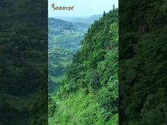 Levá-lo(a) para visitar nossa fazenda de abelhas localizada no fundo das montanhas e entrar em contato com a natureza.