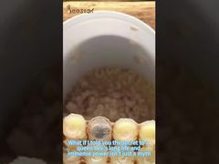 Você sabe como a geleia real é coletada? Depois de ler isto, você entenderá