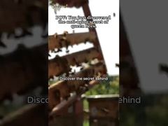 10HDA natural, orgânico, fresco, geléia real pura, geléia real para cuidados de saúde.