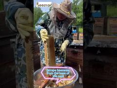 Cera de abelha natural pura, um item essencial para qualquer pessoa com consciência ambiental.