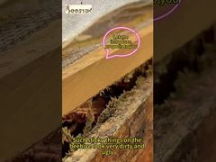 Própolis é adequado para cuidados diários com a saúde e condicionamento. É um 