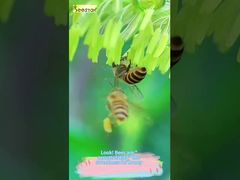 Olhe para esta textura fluida. Esta é verdadeiramente a 