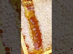 O momento curativo do mel, uma doçura natural que te conquista em uma mordida