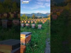 Toda a paisagem da montanha foi transformada em um sabor doce e refrescante na ponta da