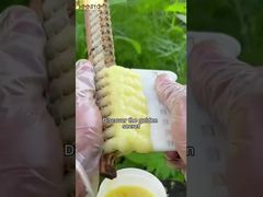 Se você conhece os benefícios da geleia real para o corpo humano, certamente vai gostar dela.