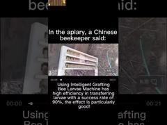 Equipamento de Inseminação Artificial da Abelha Rainha Versão Padrão com Kit para Experimento Agrícola