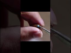 Ver Demonstração de Apicultura com Máquina Inteligente de Transferência de Larvas de Abelha Rainha