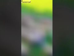 Apresentamos o Creme de Mel Branco Natural Puro, Creme de Neve de Mel para Você