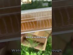 Apresentamos 500g de Mel em Favos Natural Multifloral Amarelo Claro de Qualidade Alimentar para Você