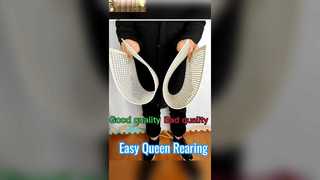 Sistema de criação de abelha rainha sem enxerto